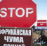 Об опасности распространения АЧС - Администрация г. Лесной