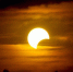 moon02 - VLesnom.ru