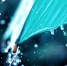 rain02 - VLesnom.ru
