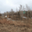 центральный парк1 - Открытый Лесной