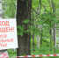 Комфортная городская среда: Парк культуры и отдыха. Подготовка территории - Администрация г. Лесной
