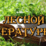 «Арлекин» - победитель международного конгресса волонтеров - Администрация г. Лесной