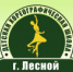 Межрегиональный конкурс «Звездочки» - Администрация г. Лесной