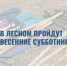 В Лесном пройдут весенние субботники - Администрация г. Лесной
