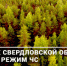 Введён режим чрезвычайной ситуации - Администрация г. Лесной