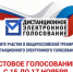 Общероссийская тренировка по дистанционному электронному голосованию - Администрация г. Лесной