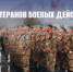 День ветеранов боевых действий - Администрация г. Лесной