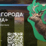 В рамках международного фотоконкурса - Администрация г. Лесной