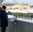 Торжественное построение военнослужащих - Администрация г. Лесной