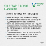 Что делать, если вы увидели в небе беспилотник